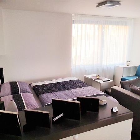 G Support Apartment 프라하 객실 사진