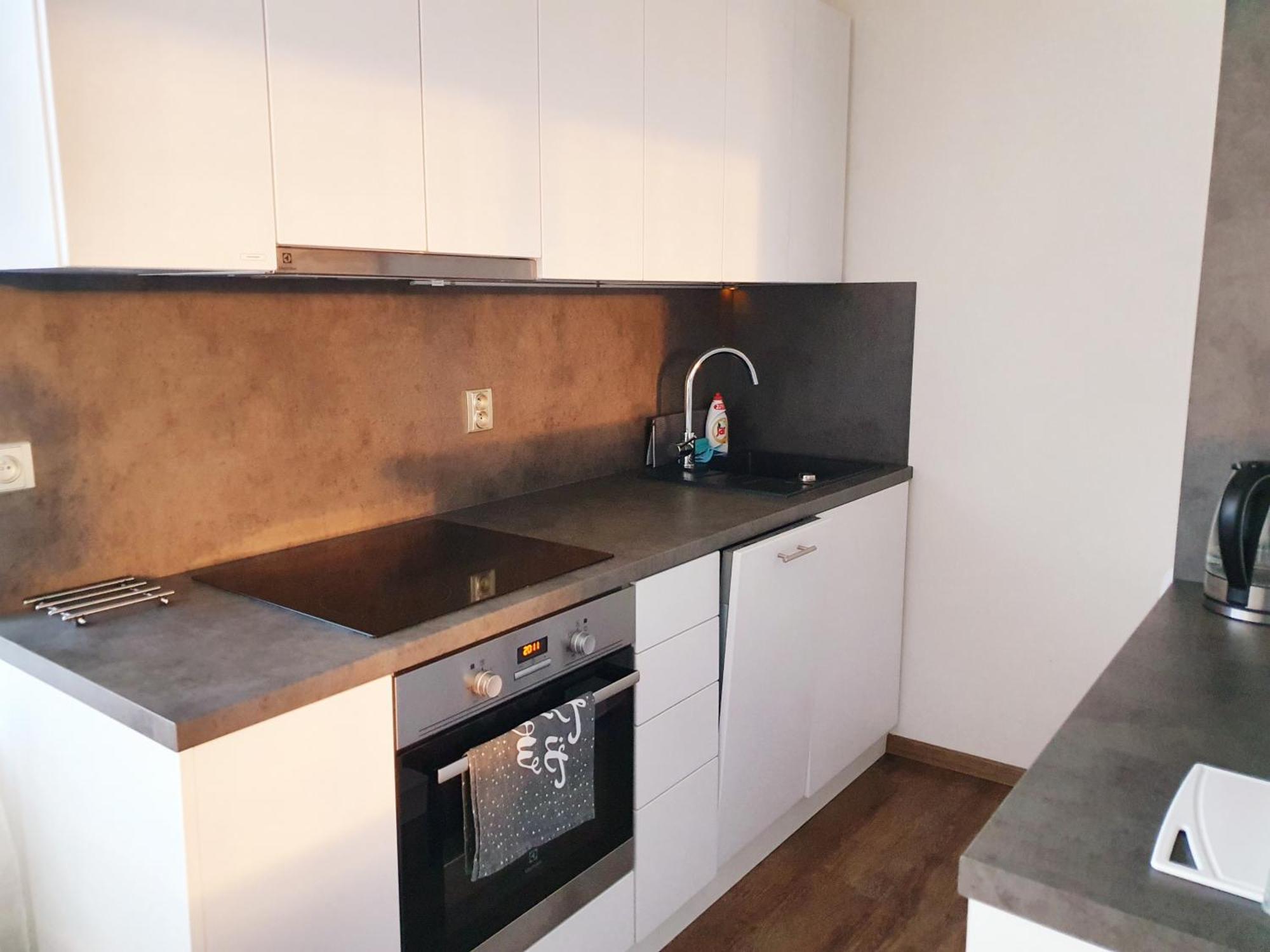 G Support Apartment 프라하 객실 사진