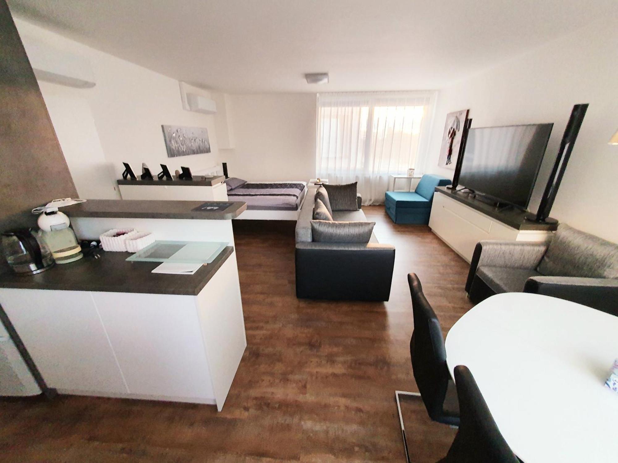 G Support Apartment 프라하 객실 사진