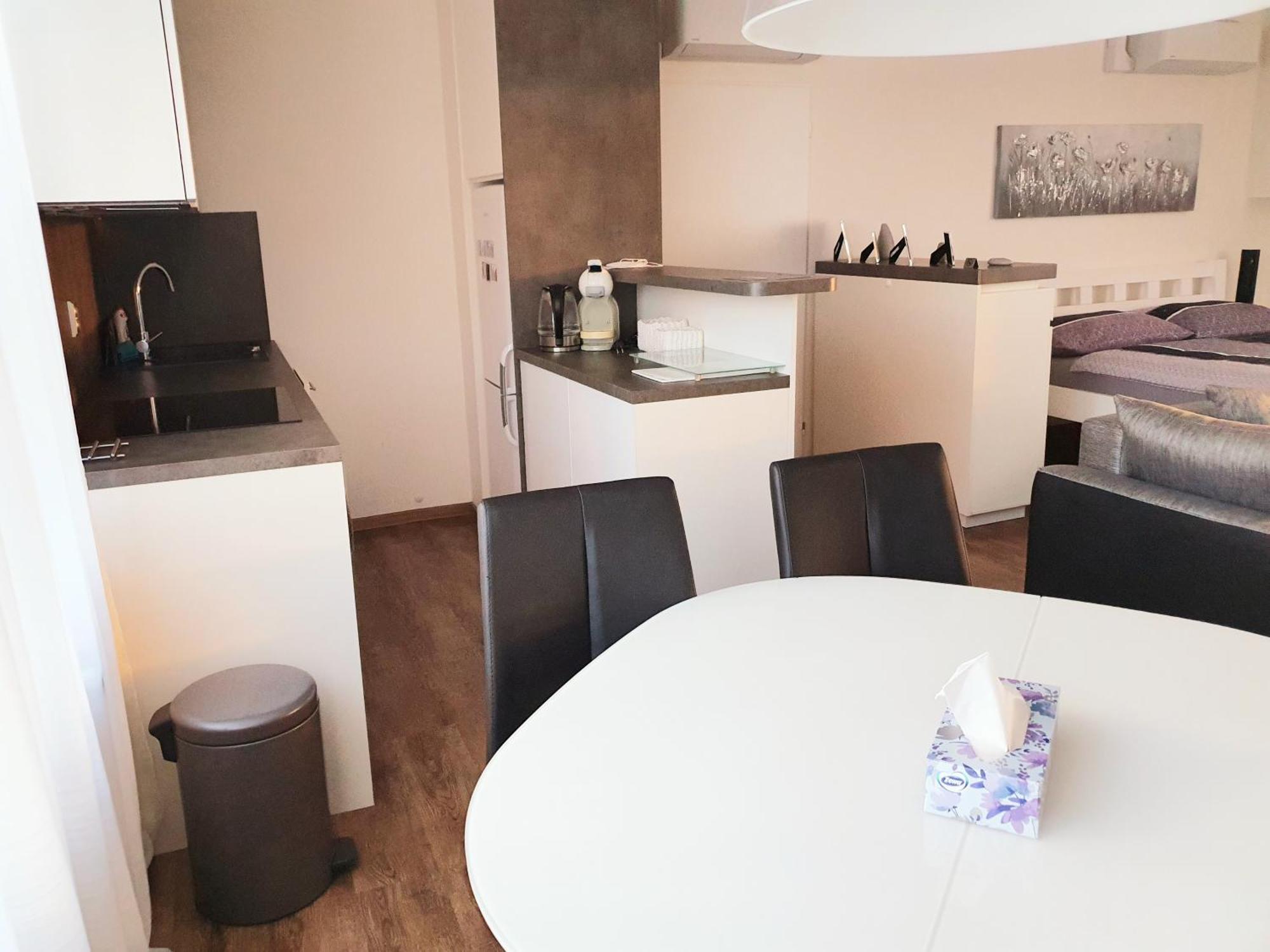 G Support Apartment 프라하 객실 사진