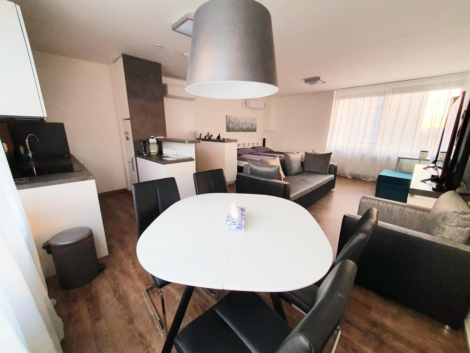 G Support Apartment 프라하 객실 사진